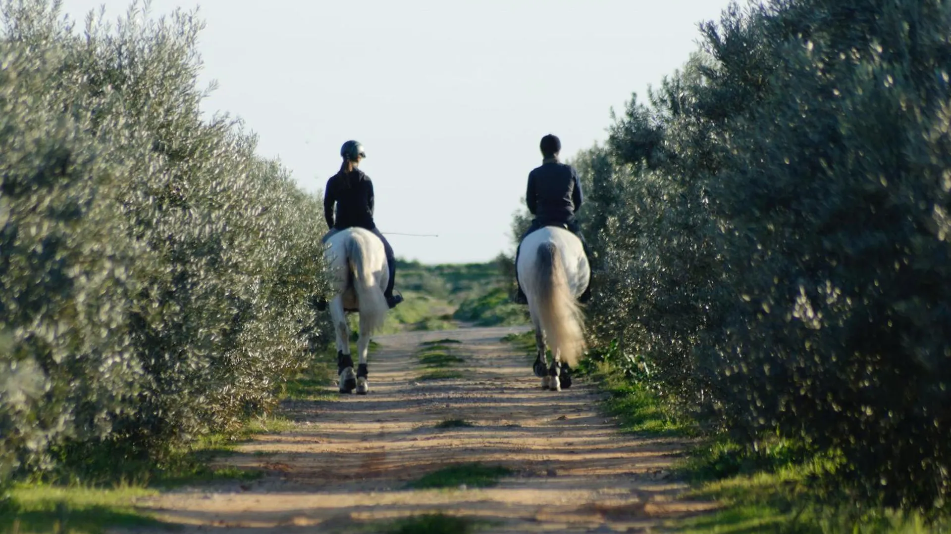 Herdade Dos Salgados Do Fialho Faro Country house